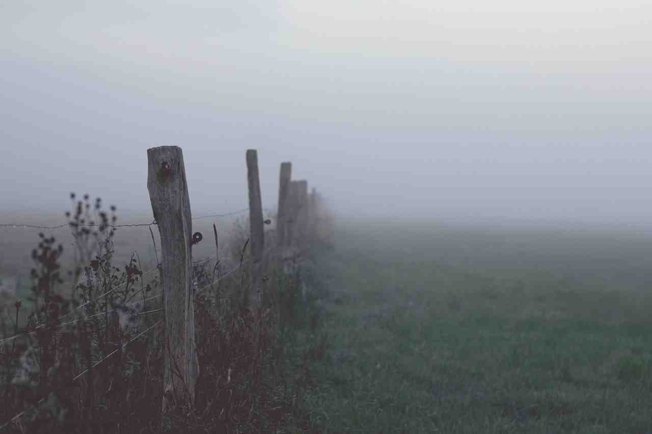 brouillard, dawn, paysage