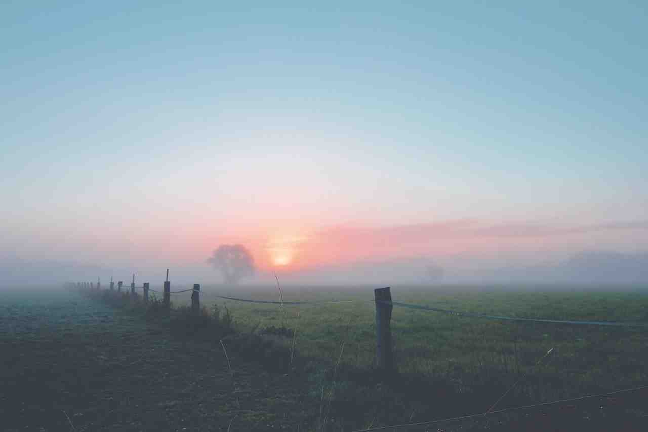 brouillard, dawn, paysage
